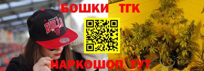 сатива Коммунар
