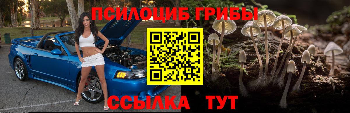 Галлюциногенные грибы GOLDEN TEACHER Красногорск
