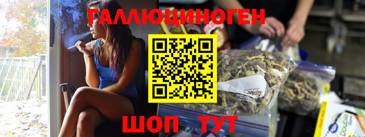 купить наркотики цена  Вход с VPN  Красногорск  Галлюциногенные грибы Psilocybe  Галлюциногенные грибы прущие грибы 